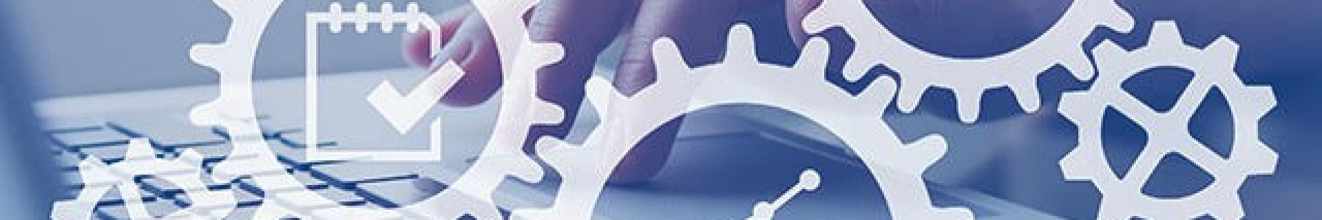 ERP (english)
